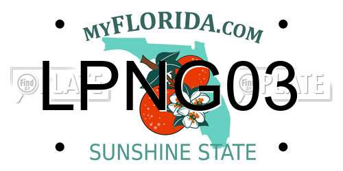 LPNG03 Florida License Plate