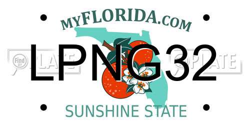 LPNG32 Florida License Plate