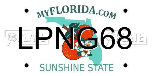 LPNG68 Florida License Plate