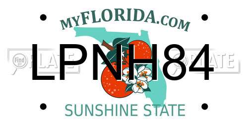 LPNH84 Florida License Plate