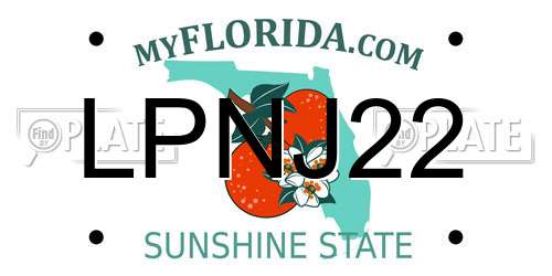 LPNJ22 Florida License Plate