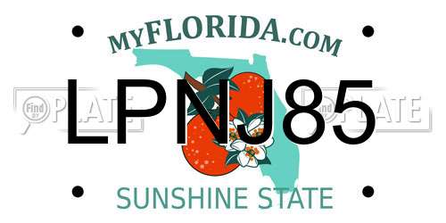 LPNJ85 Florida License Plate