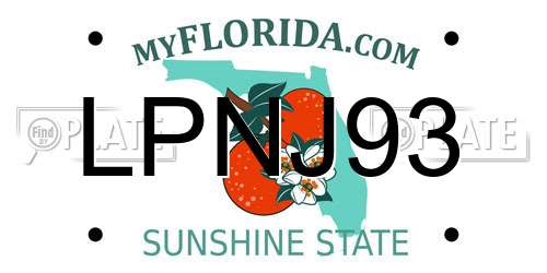 LPNJ93 Florida License Plate