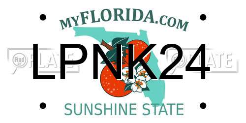 LPNK24 Florida License Plate