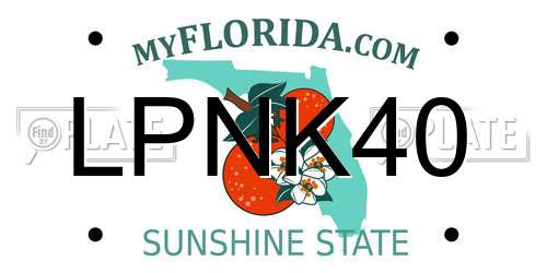LPNK40 Florida License Plate