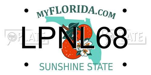 LPNL68 Florida License Plate