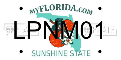 LPNM01 Florida License Plate