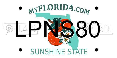 LPNS80 Florida License Plate
