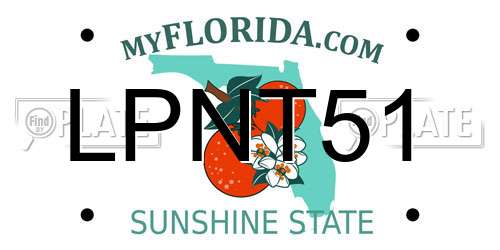 LPNT51 Florida License Plate