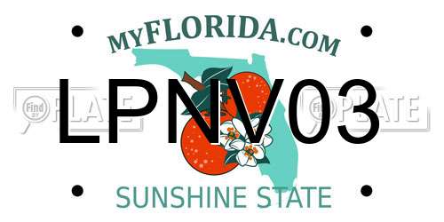 LPNV03 Florida License Plate