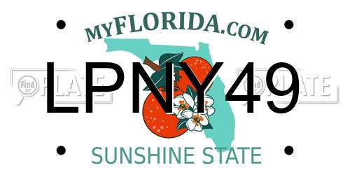 LPNY49 Florida License Plate