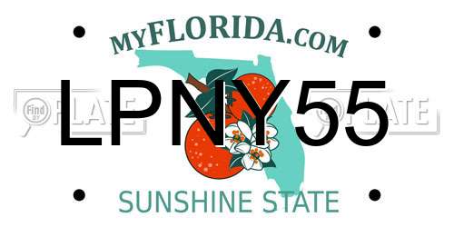 LPNY55 Florida License Plate