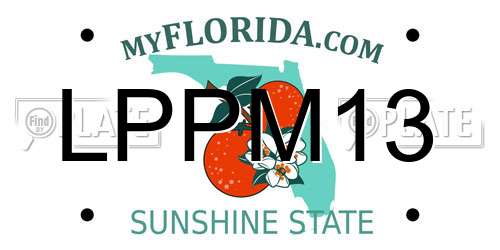 LPPM13 Florida License Plate