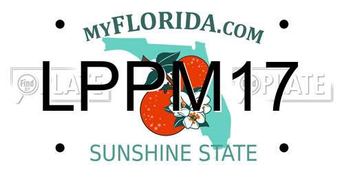 LPPM17 Florida License Plate