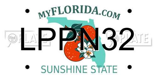 LPPN32 Florida License Plate