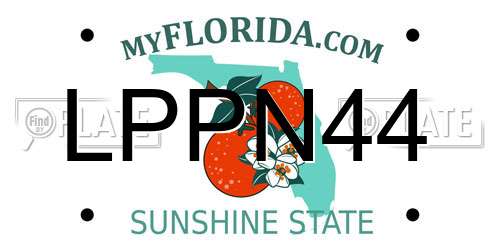 LPPN44 Florida License Plate