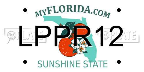 LPPR12 Florida License Plate