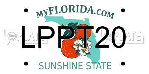 LPPT20 Florida License Plate