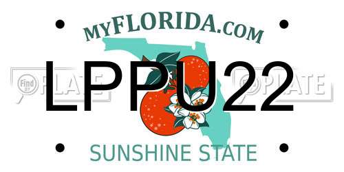 LPPU22 Florida License Plate