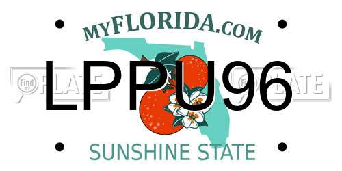 LPPU96 Florida License Plate