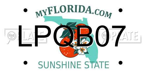 LPQB07 Florida License Plate