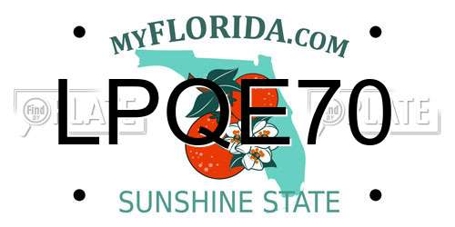 LPQE70 Florida License Plate