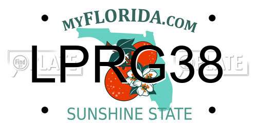 LPRG38 Florida License Plate