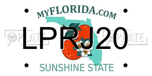 LPRJ20 Florida License Plate
