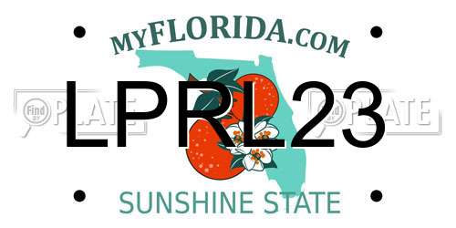 LPRL23 Florida License Plate