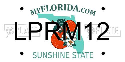 LPRM12 Florida License Plate