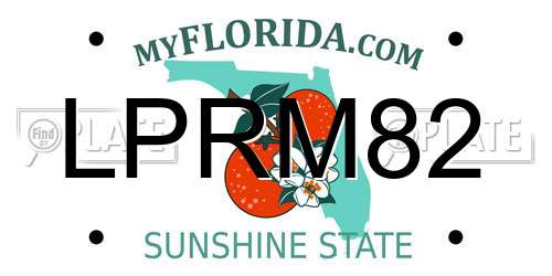 LPRM82 Florida License Plate