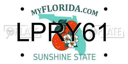 LPRY61 Florida License Plate