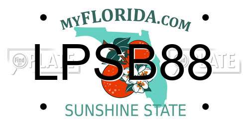 LPSB88 Florida License Plate