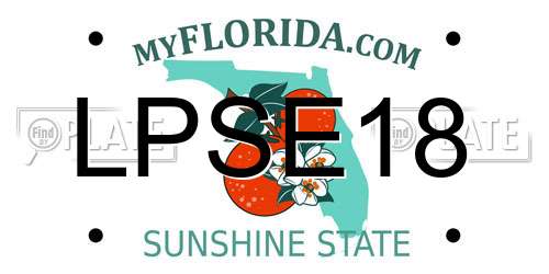 LPSE18 Florida License Plate