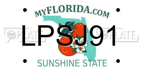 LPSJ91 Florida License Plate