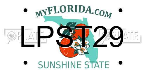 LPST29 Florida License Plate