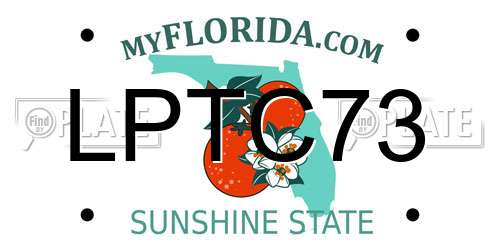 LPTC73 Florida License Plate
