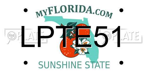 LPTE51 Florida License Plate