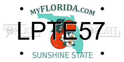 LPTE57 Florida License Plate