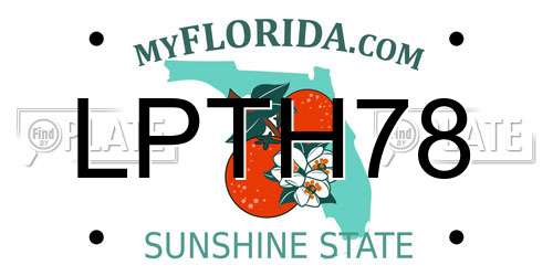 LPTH78 Florida License Plate