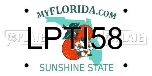 LPTI58 Florida License Plate