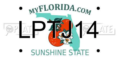LPTJ14 Florida License Plate