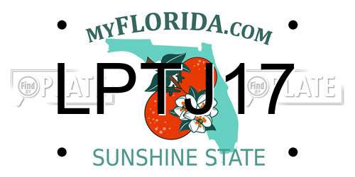 LPTJ17 Florida License Plate