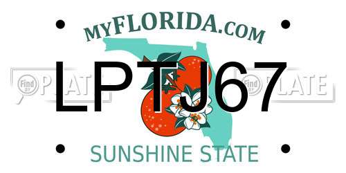 LPTJ67 Florida License Plate