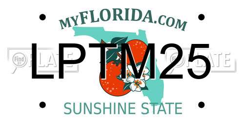 LPTM25 Florida License Plate