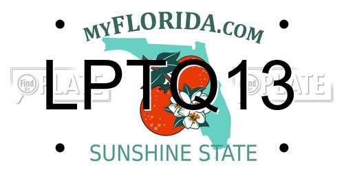 LPTQ13 Florida License Plate