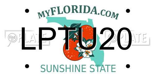 LPTU20 Florida License Plate