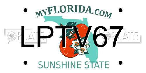 LPTV67 Florida License Plate