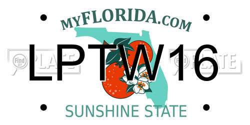 LPTW16 Florida License Plate