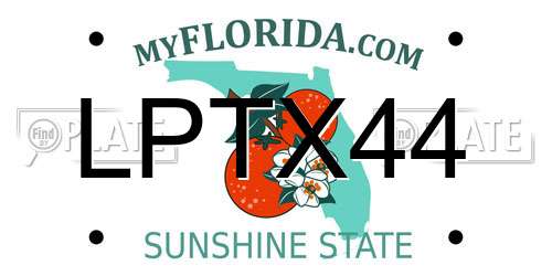 LPTX44 Florida License Plate